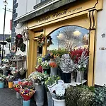Guest * Malahide