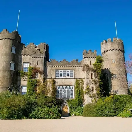 게스트하우스 Guest *