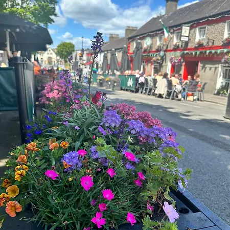 Guest 게스트하우스