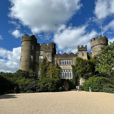 Guest * 말라하이드