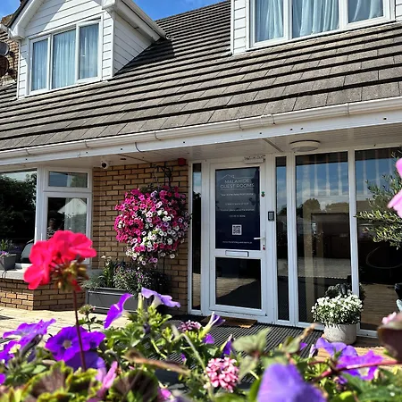 Guest 말라하이드