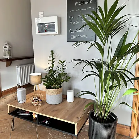 게스트하우스 Guest 말라하이드