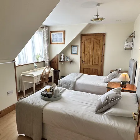 Guest 말라하이드