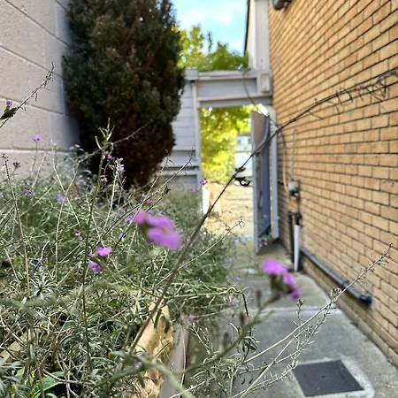 게스트하우스 Guest *