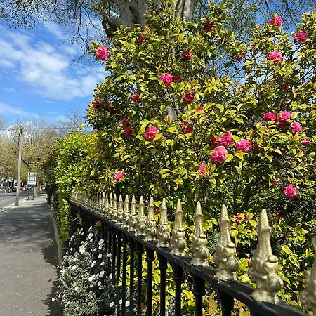 게스트하우스 Guest *