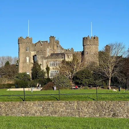 Guest 말라하이드