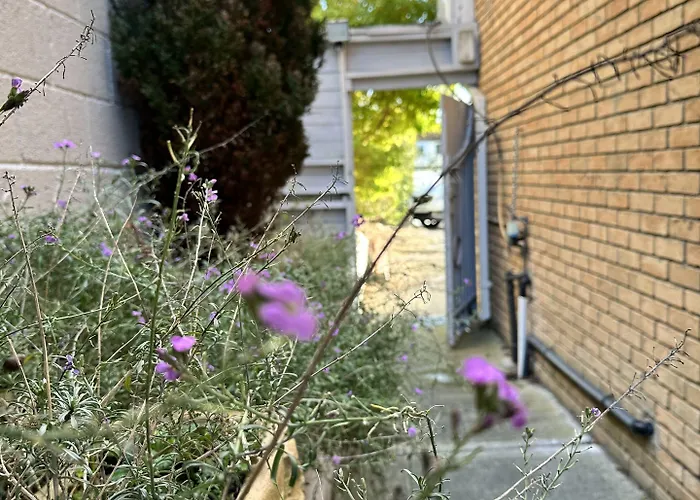 Гостевой дом Guest *