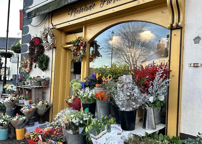 Guest * Малахайд